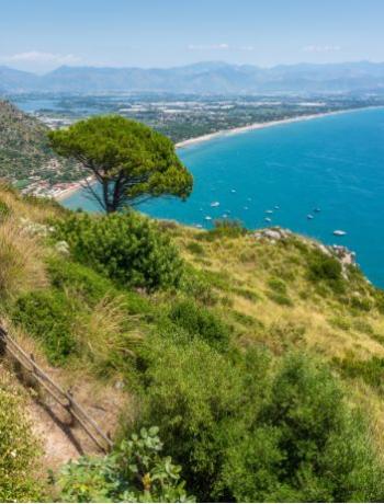 Panorama costiero con mare azzurro, vegetazione rigogliosa e barche in lontananza.