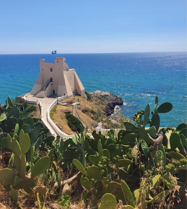Torre sul mare con cactus in primo piano e bandiera blu.