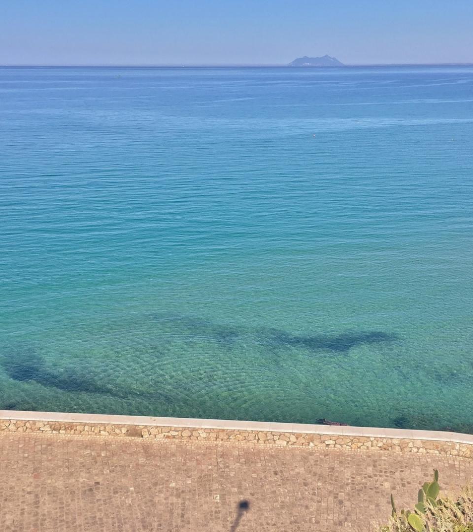 Vista sul mare turchese con un'isola all'orizzonte e una strada in primo piano.